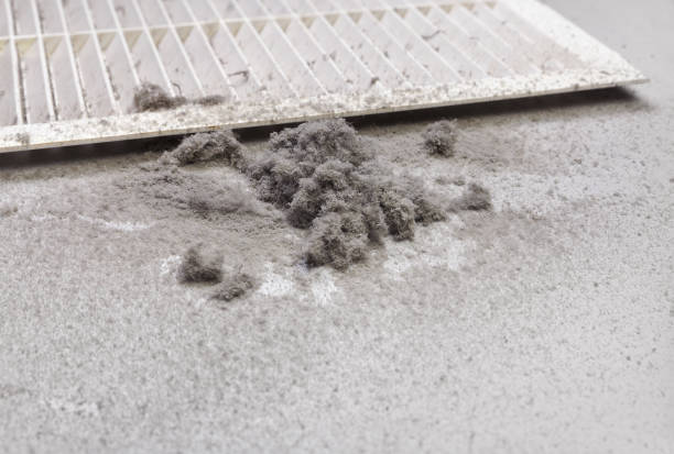 Best Air Duct Cleaning Near Me  in Sebewaing, MI
