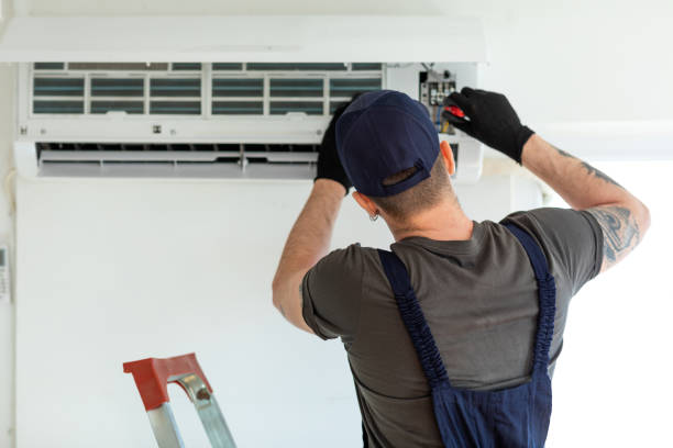 Best Air Vent Cleaning Services  in Sebewaing, MI