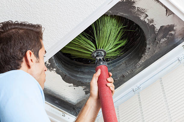 Best Air Duct Cleaning Company Near Me  in Sebewaing, MI